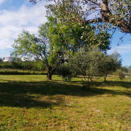 S&M Camping Sveti Filip i Jakov Zewnętrze zdjęcie