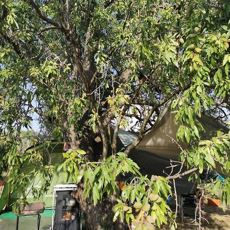 S&M Camping Sveti Filip i Jakov Zewnętrze zdjęcie