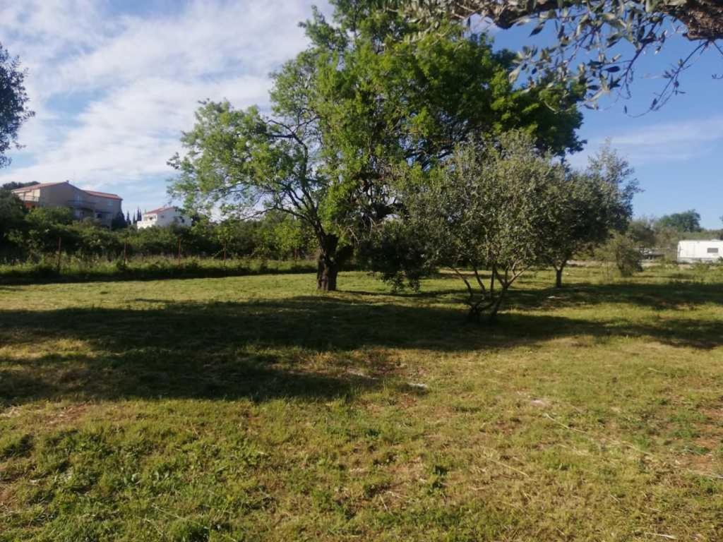 S&M Camping Sveti Filip i Jakov Zewnętrze zdjęcie