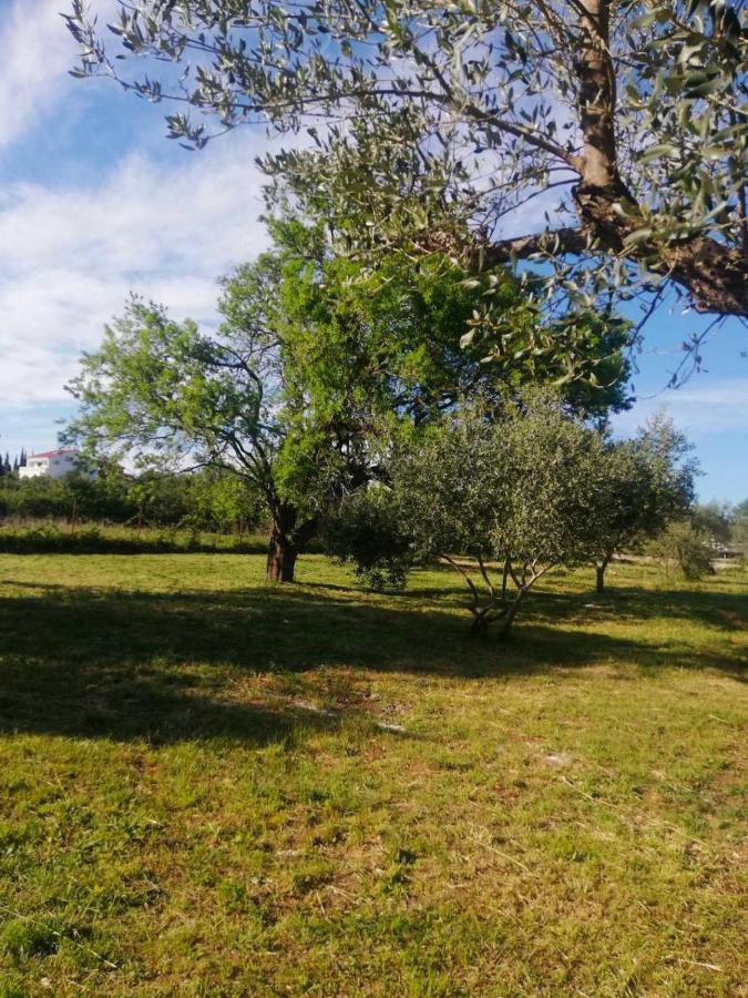 S&M Camping Sveti Filip i Jakov Zewnętrze zdjęcie