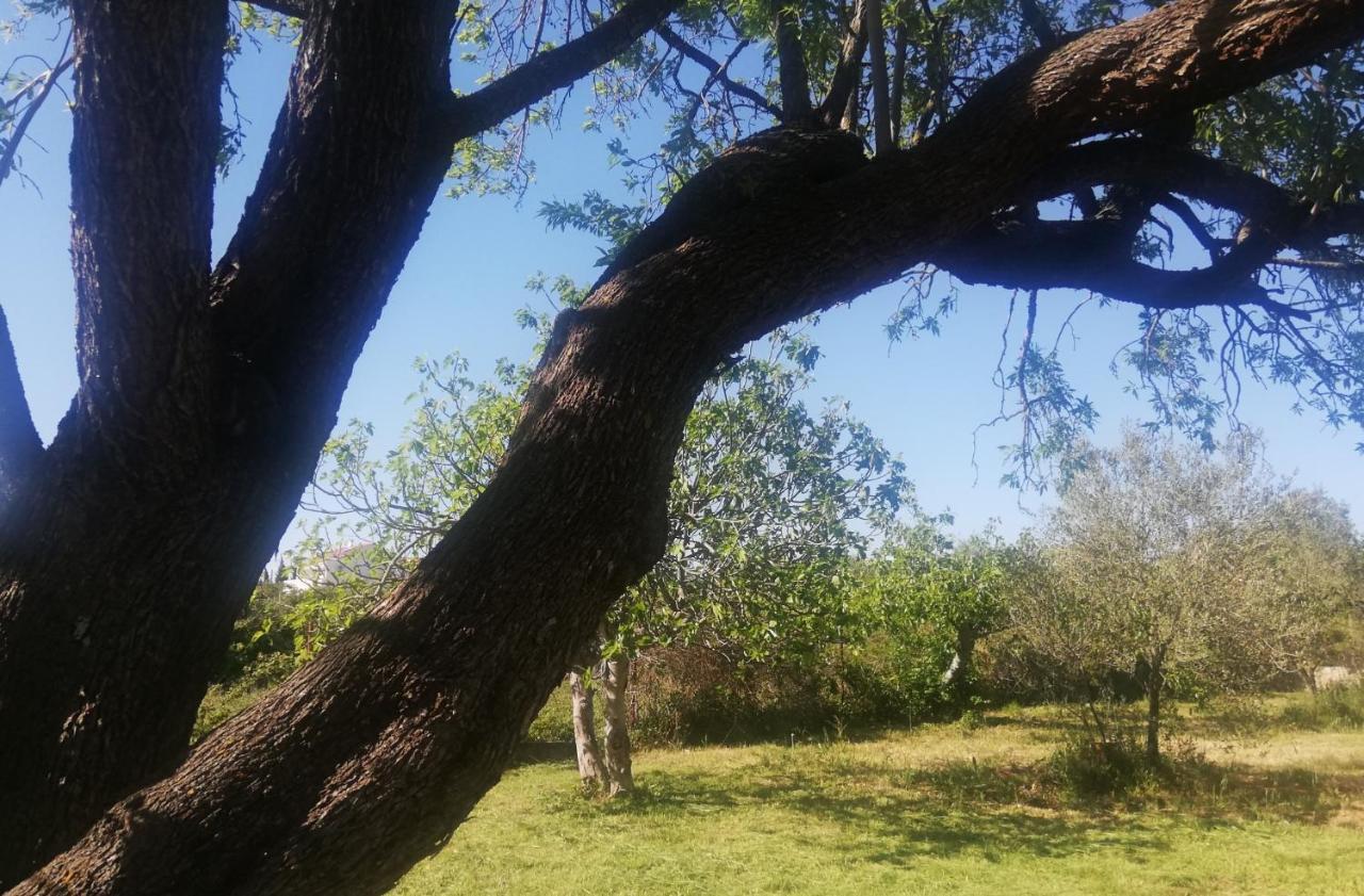 S&M Camping Sveti Filip i Jakov Zewnętrze zdjęcie