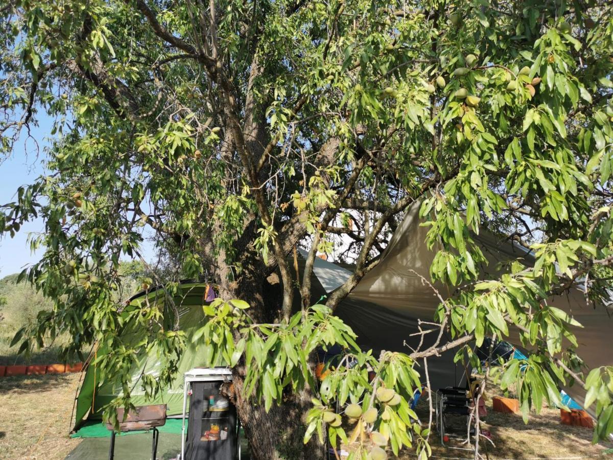 S&M Camping Sveti Filip i Jakov Zewnętrze zdjęcie